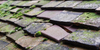 Rhiwbina roof repair costs
